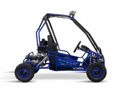 Buggy 50 shop